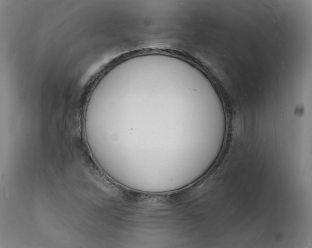 X0000112141262200908281308