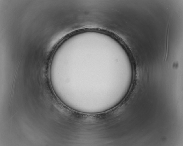 X0000112141263200908281308