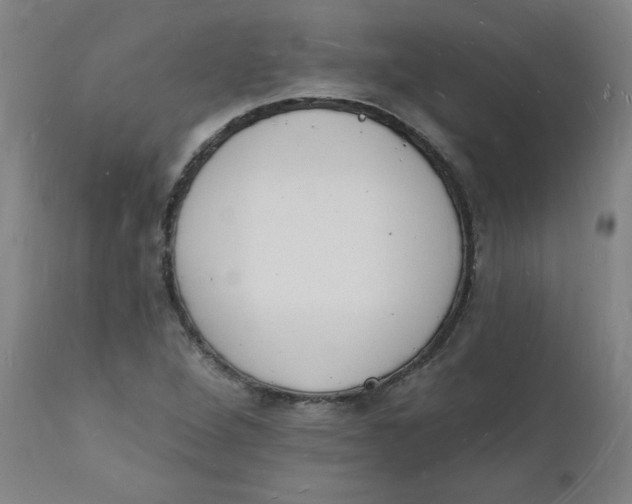 X0000112141264200908281308