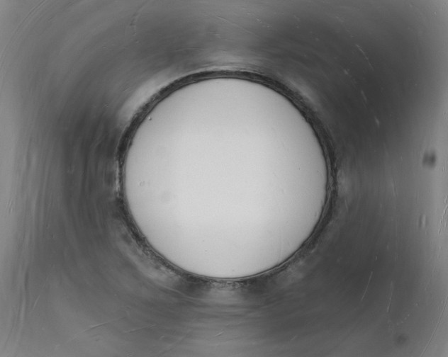 X0000112141267200908281308