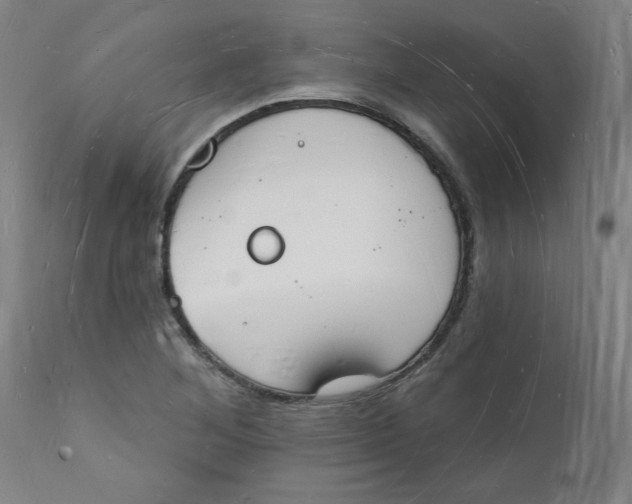 X0000112141268200908281308