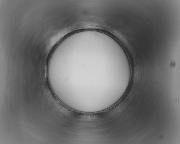 X0000112141269200908281308