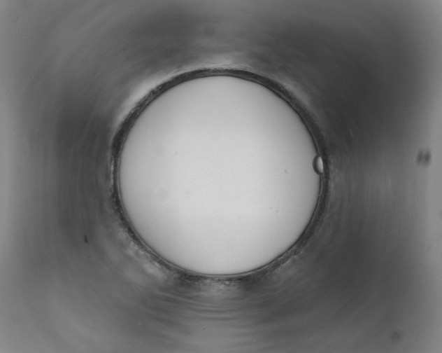 X0000112141270200908281308