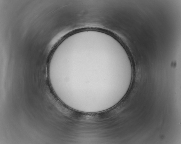 X0000112141271200908281308