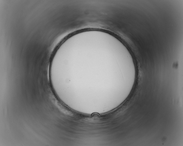 X0000112141272200908281308