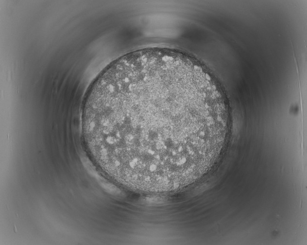 X0000112141274200908281308