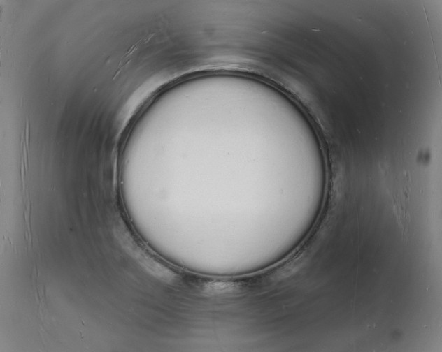 X0000112141275200908281308