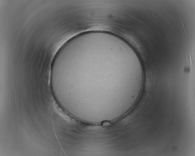 X0000112141276200908281308