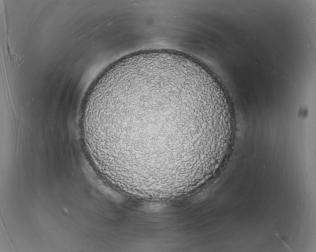 X0000112141278200908281308