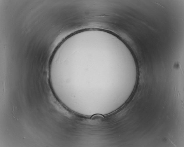 X0000112141280200908281308