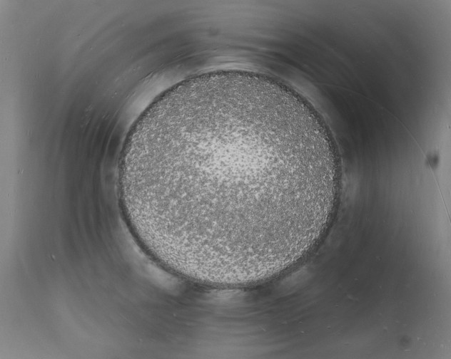 X0000112141282200908281308