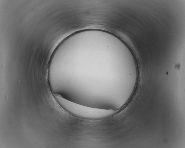 X0000112141284200908281308