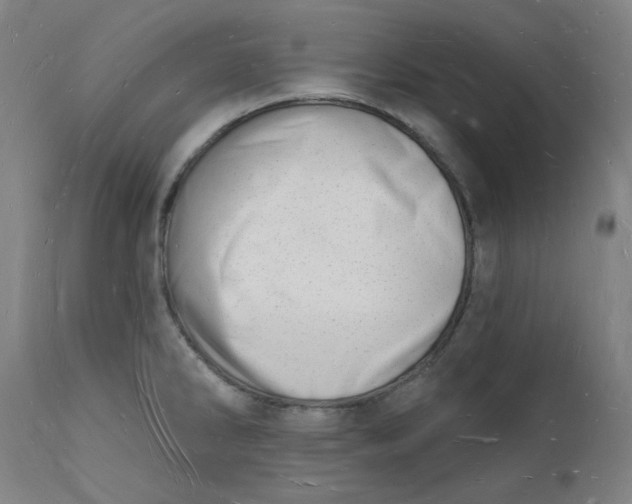 X0000112141286200908281308