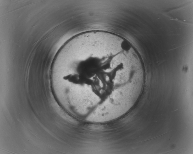 X0000112141291200908281308