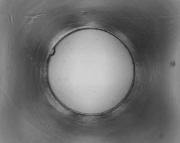 X0000112141292200908281308