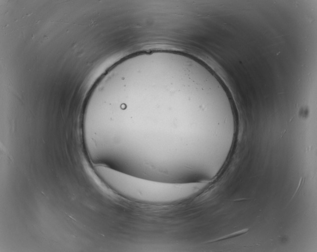 X0000112141293200908281308