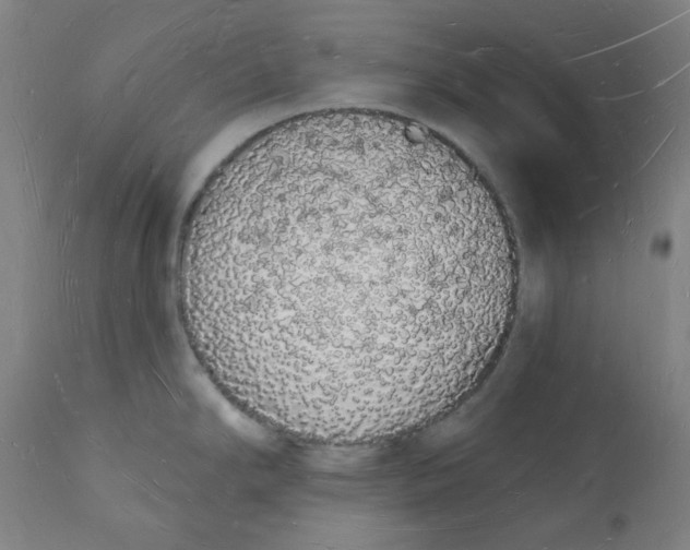 X0000112141294200908281308