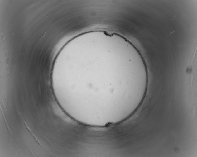 X0000112141296200908281308