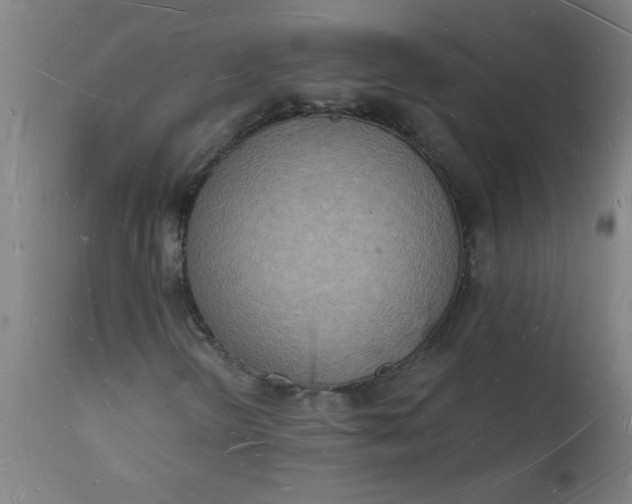 X0000112141298200908281307