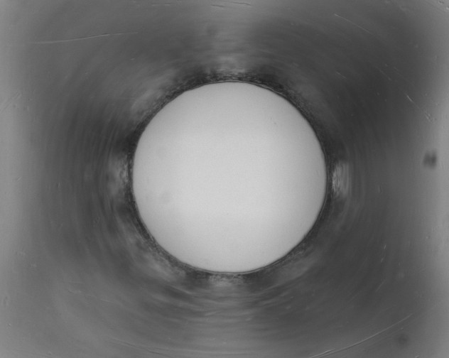 X0000112141299200908281307