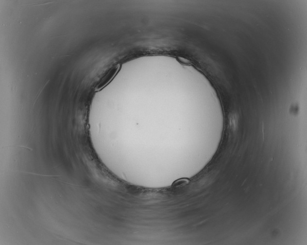 X0000112141300200908281307