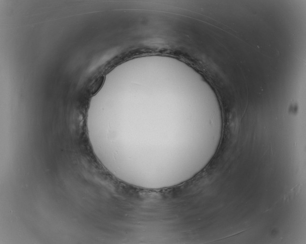 X0000112141302200908281307