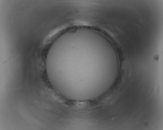 X0000112141303200908281307