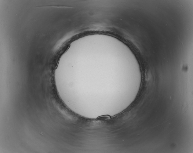 X0000112141304200908281307