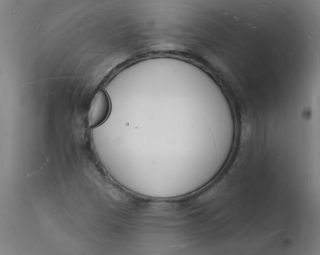 X0000112141305200908281307