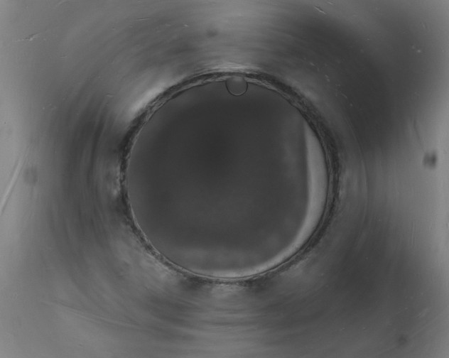 X0000112141306200908281307