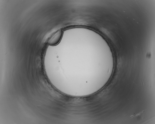 X0000112141307200908281307