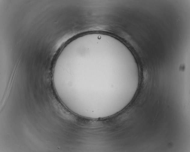 X0000112141308200908281307