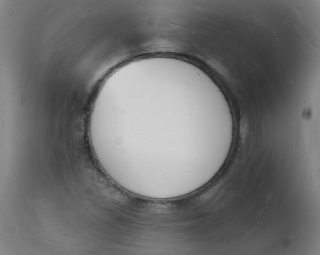 X0000112141309200908281308