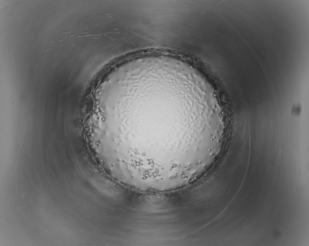 X0000112141310200908281308