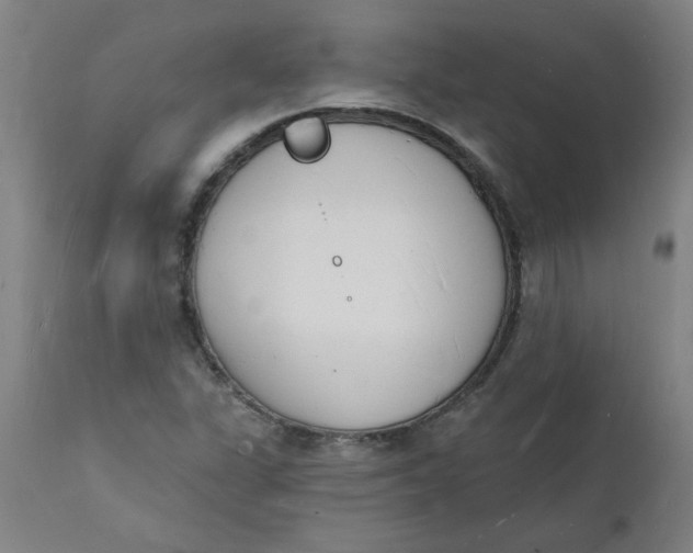 X0000112141311200908281308