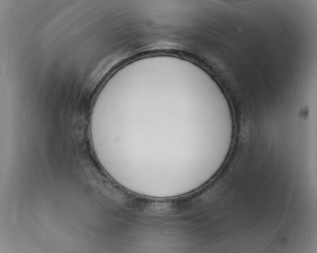 X0000112141313200908281308