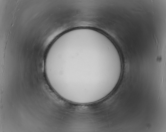 X0000112141317200908281308