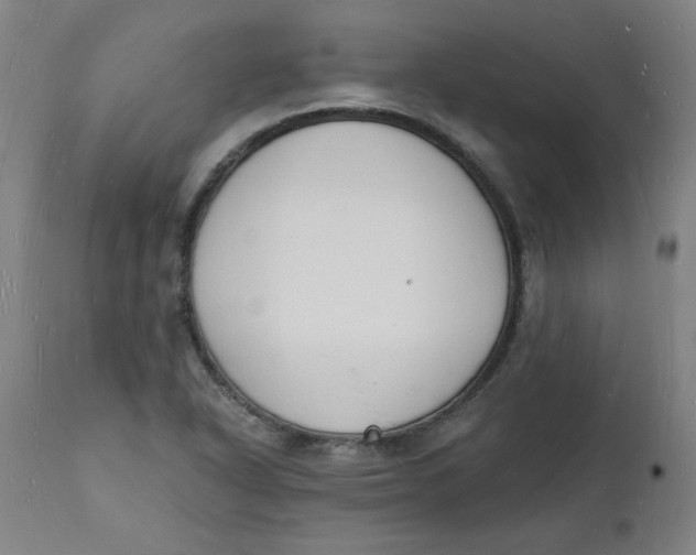 X0000112141318200908281308