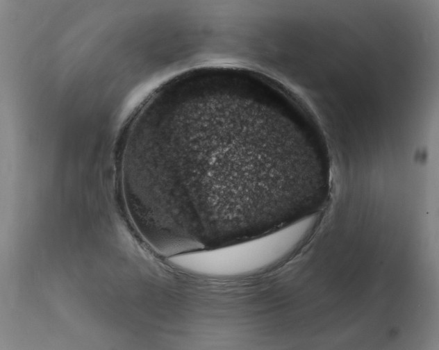 X0000112141319200908281308