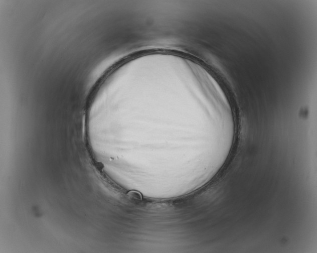 X0000112141320200908281308