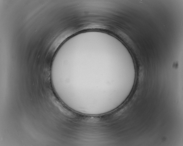 X0000112141321200908281308