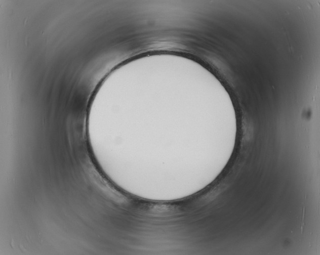 X0000112141322200908281308