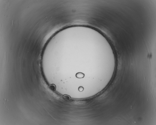 X0000112141325200908281308