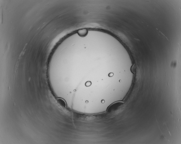 X0000112141326200908281308