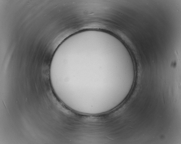 X0000112141329200908281308