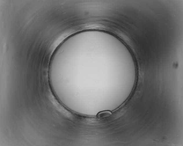 X0000112141330200908281308