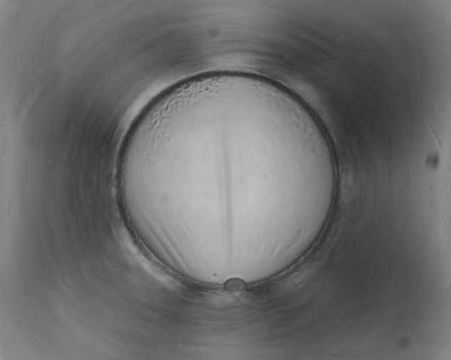 X0000112141331200908281308