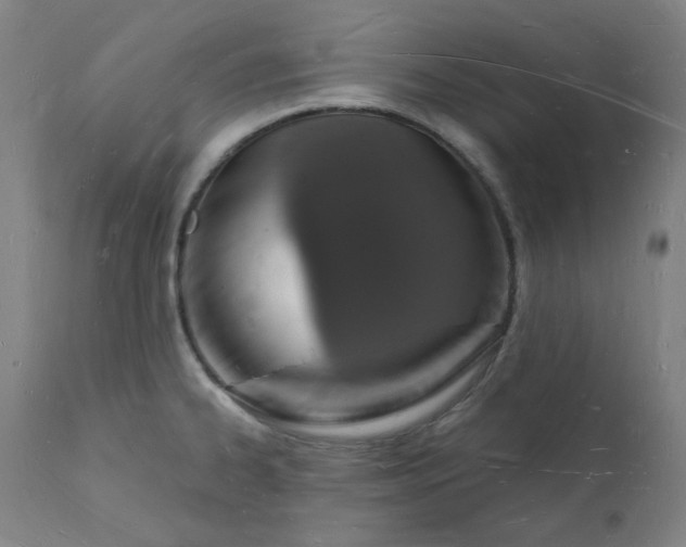 X0000112141334200908281308