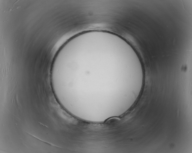 X0000112141336200908281308