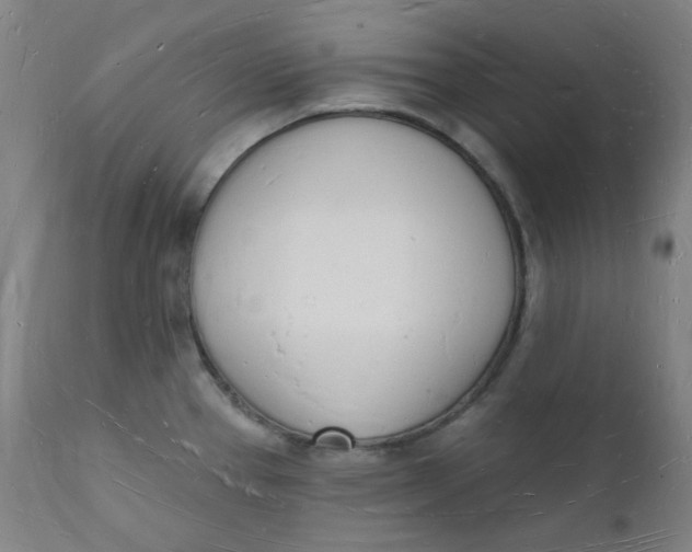 X0000112141337200908281308